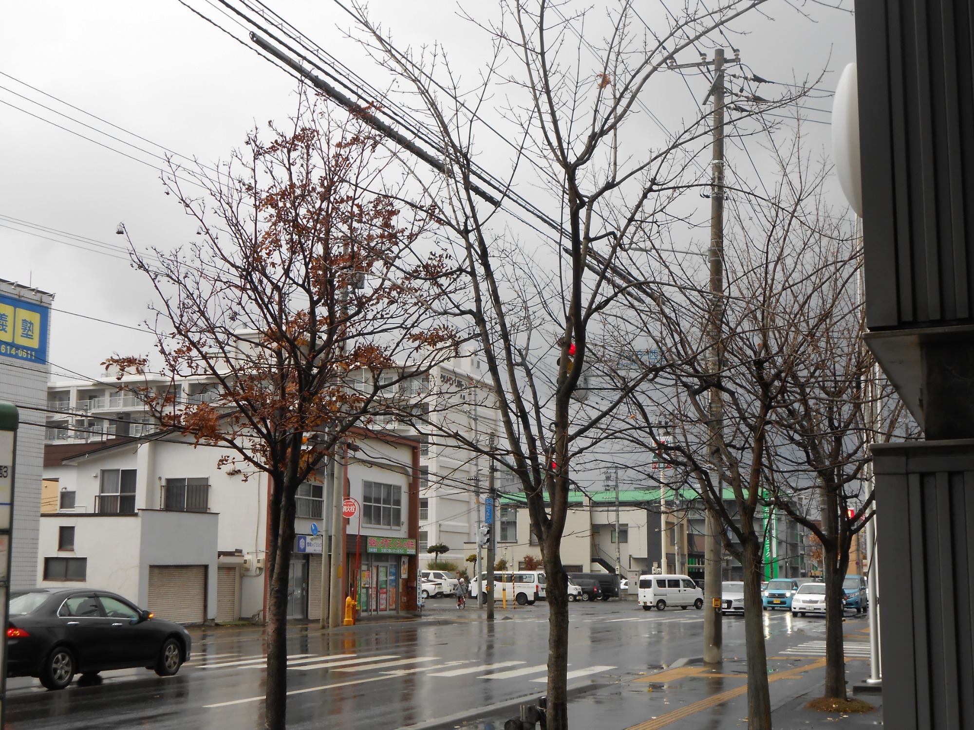 下手稲通りの街路樹の様子