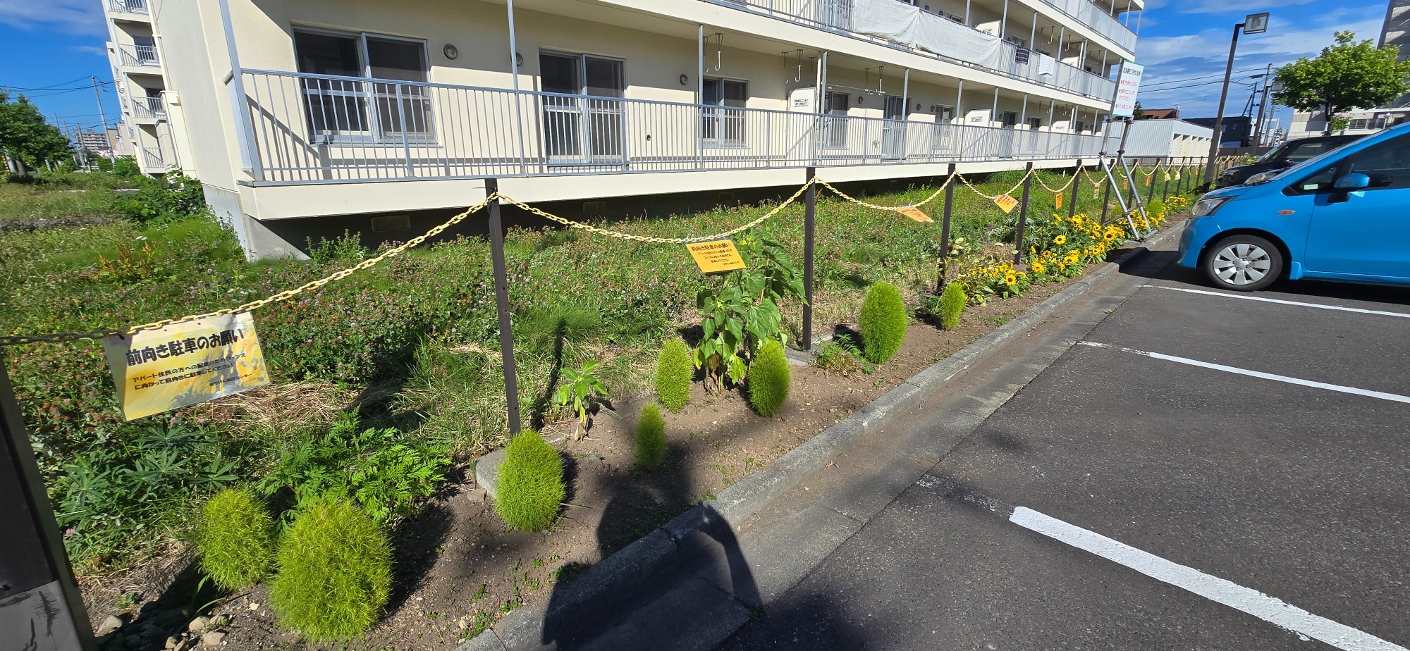 駐車場の花壇の様子